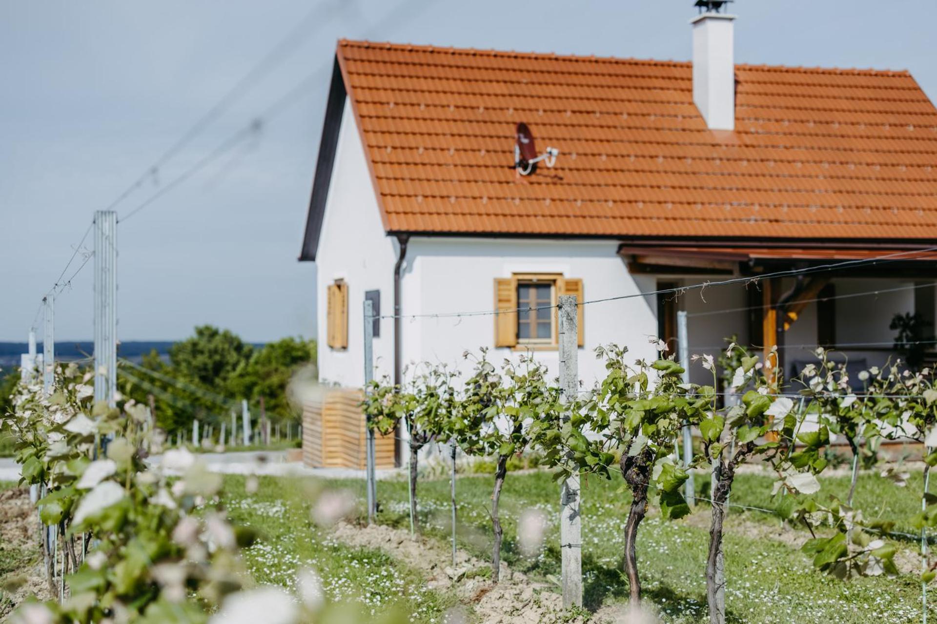 Appartement Urlaub Im Kellerstoeckl Dunst à Strem Chambre photo
