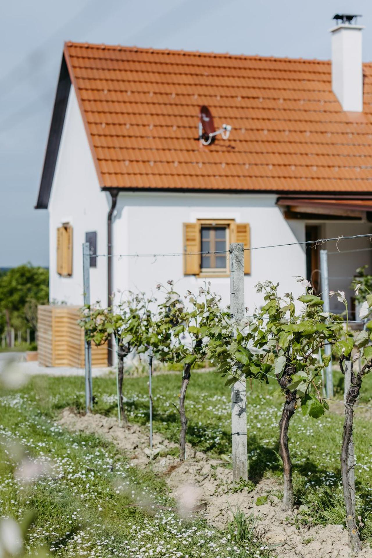 Appartement Urlaub Im Kellerstoeckl Dunst à Strem Chambre photo
